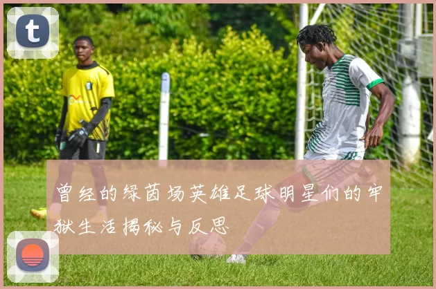 曾经的绿茵场英雄足球明星们的牢狱生活揭秘与反思