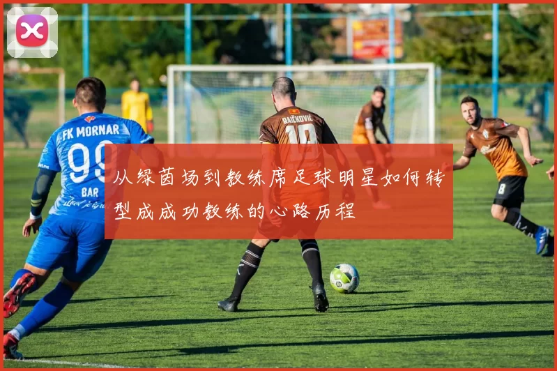 从绿茵场到教练席足球明星如何转型成成功教练的心路历程