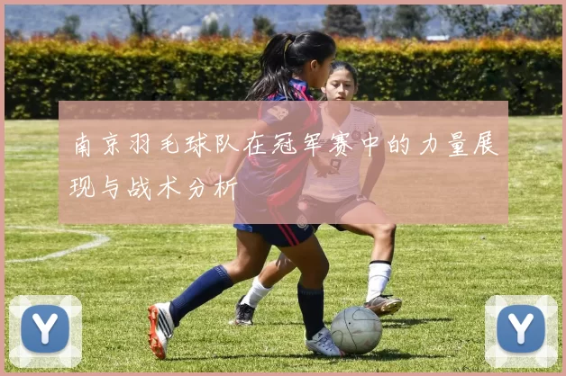 南京羽毛球队在冠军赛中的力量展现与战术分析
